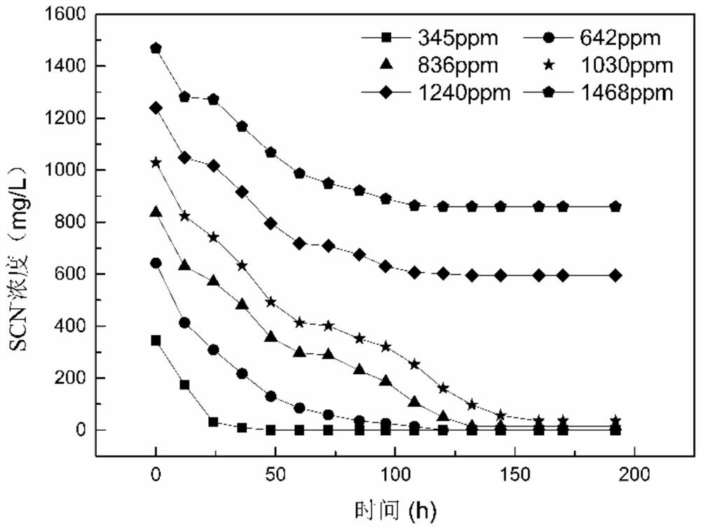 A high-resistance arsenic-thiocyanide-degrading strain and its application