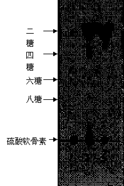 Production method of fish cartilage extract for preventing and treating osteoarthritis