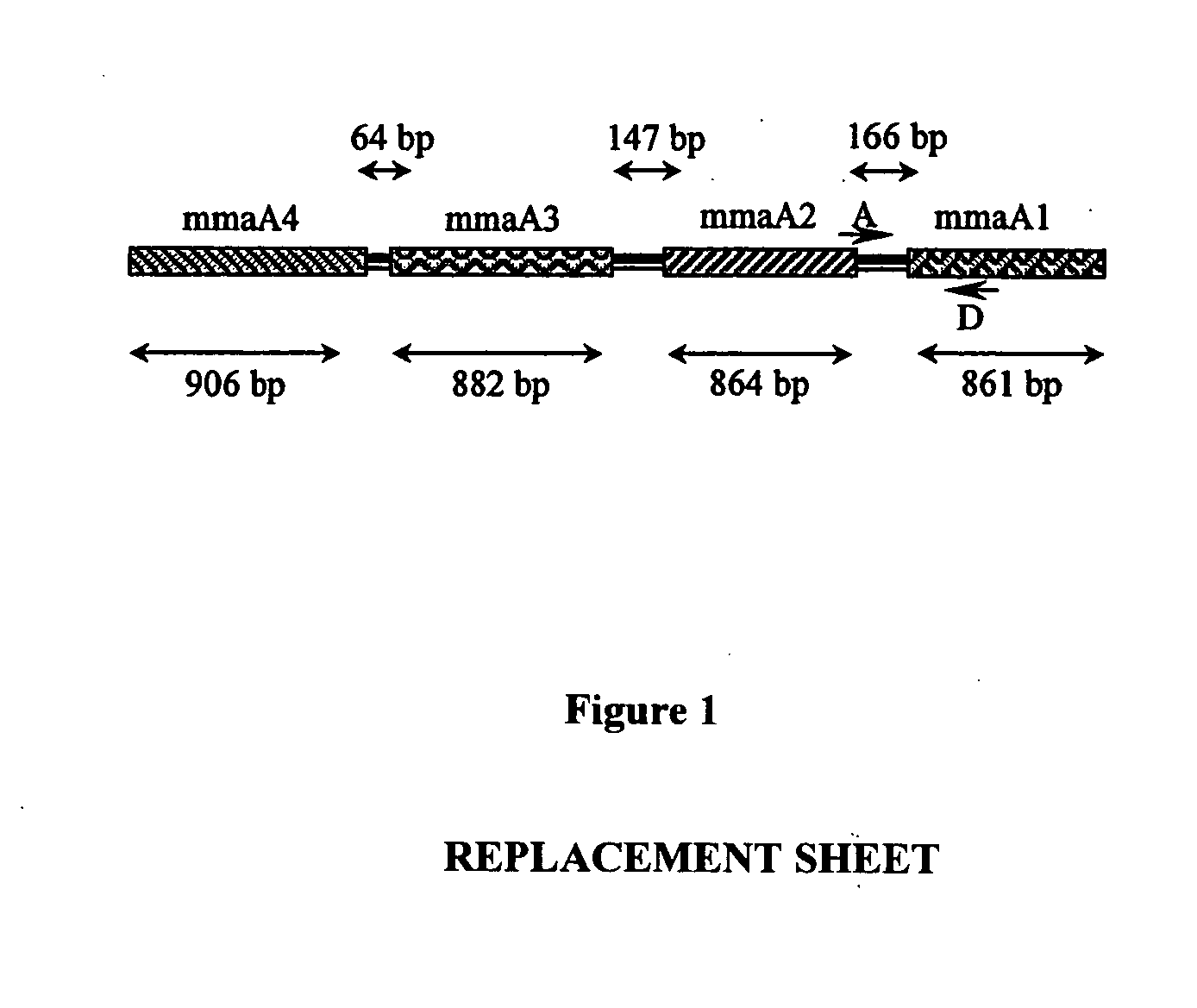 Method for detecting pathogenic mycobacteria in clinical specimens