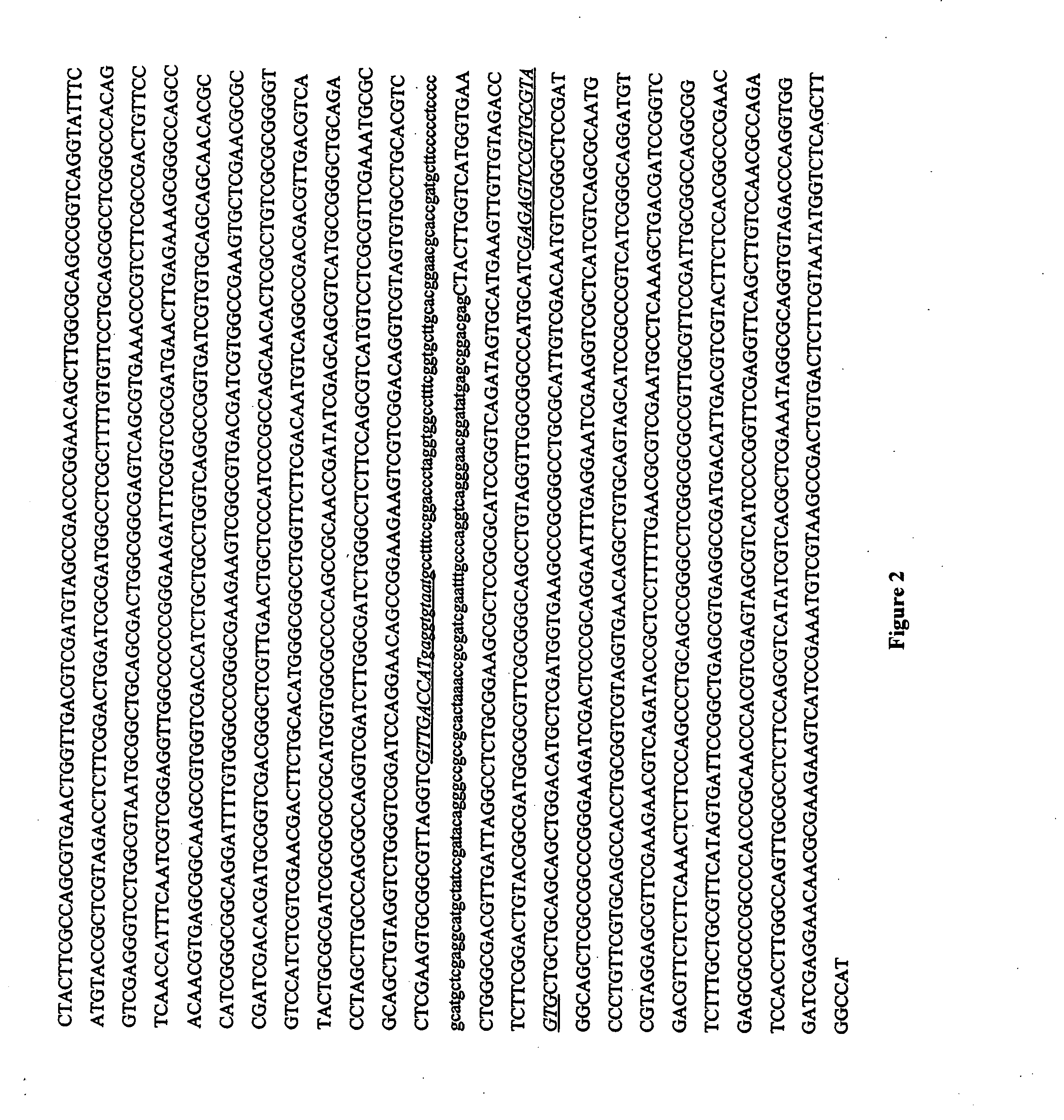 Method for detecting pathogenic mycobacteria in clinical specimens