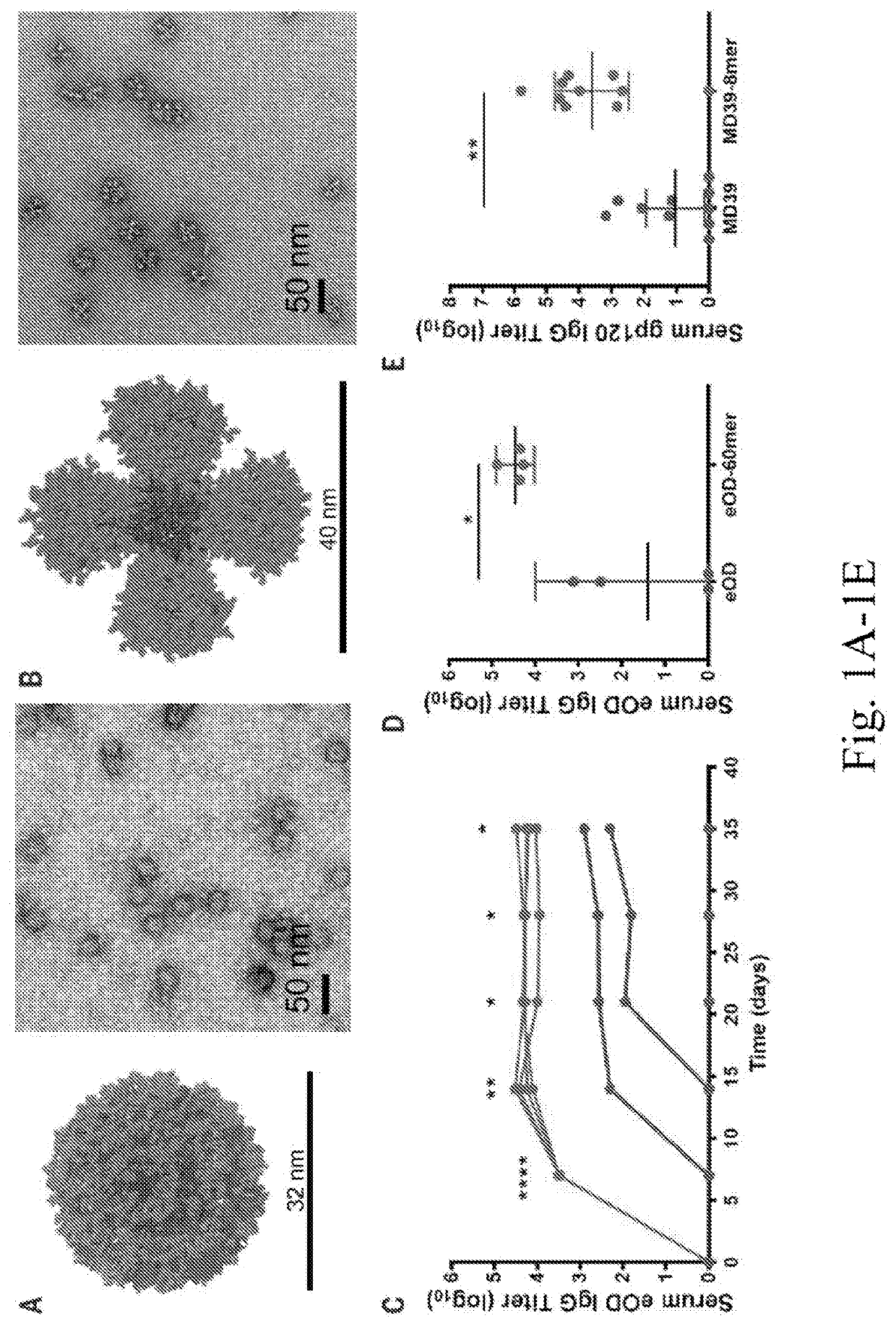 Ferritin nanoparticle displaying an HIV trimer