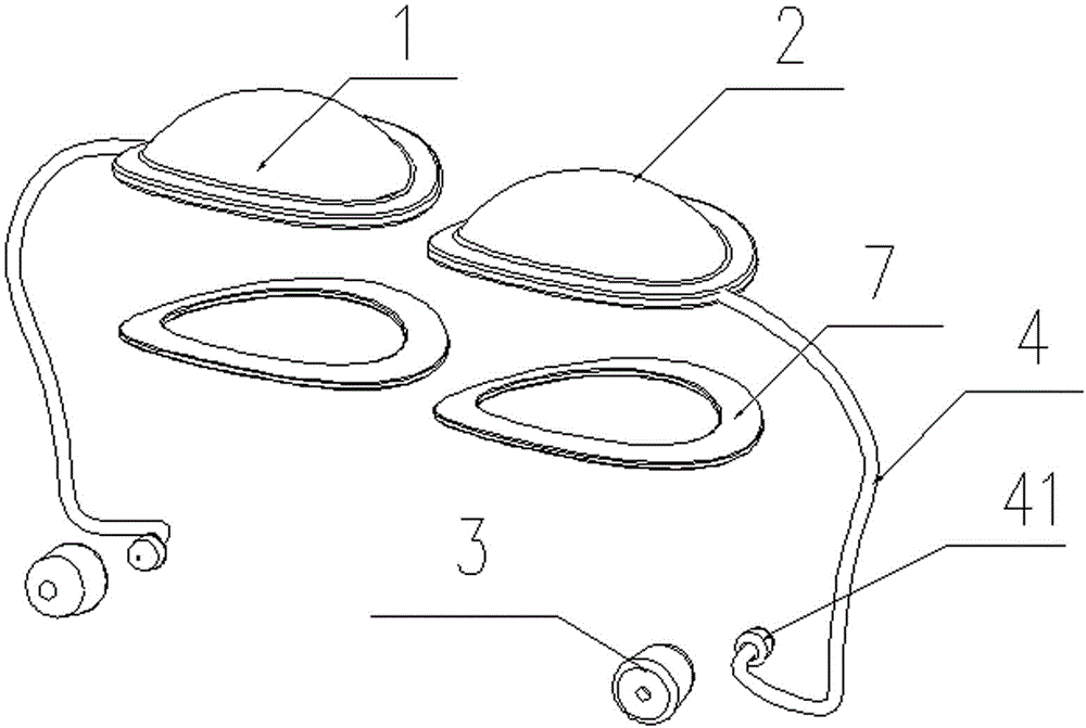 Eye and ear protective device for supine position operation