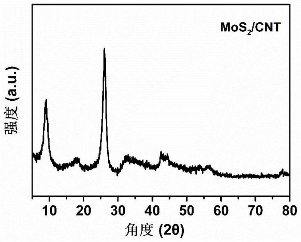 Molybdenum disulfide and carbon nanotube composite material catalyst as well as preparation and application thereof