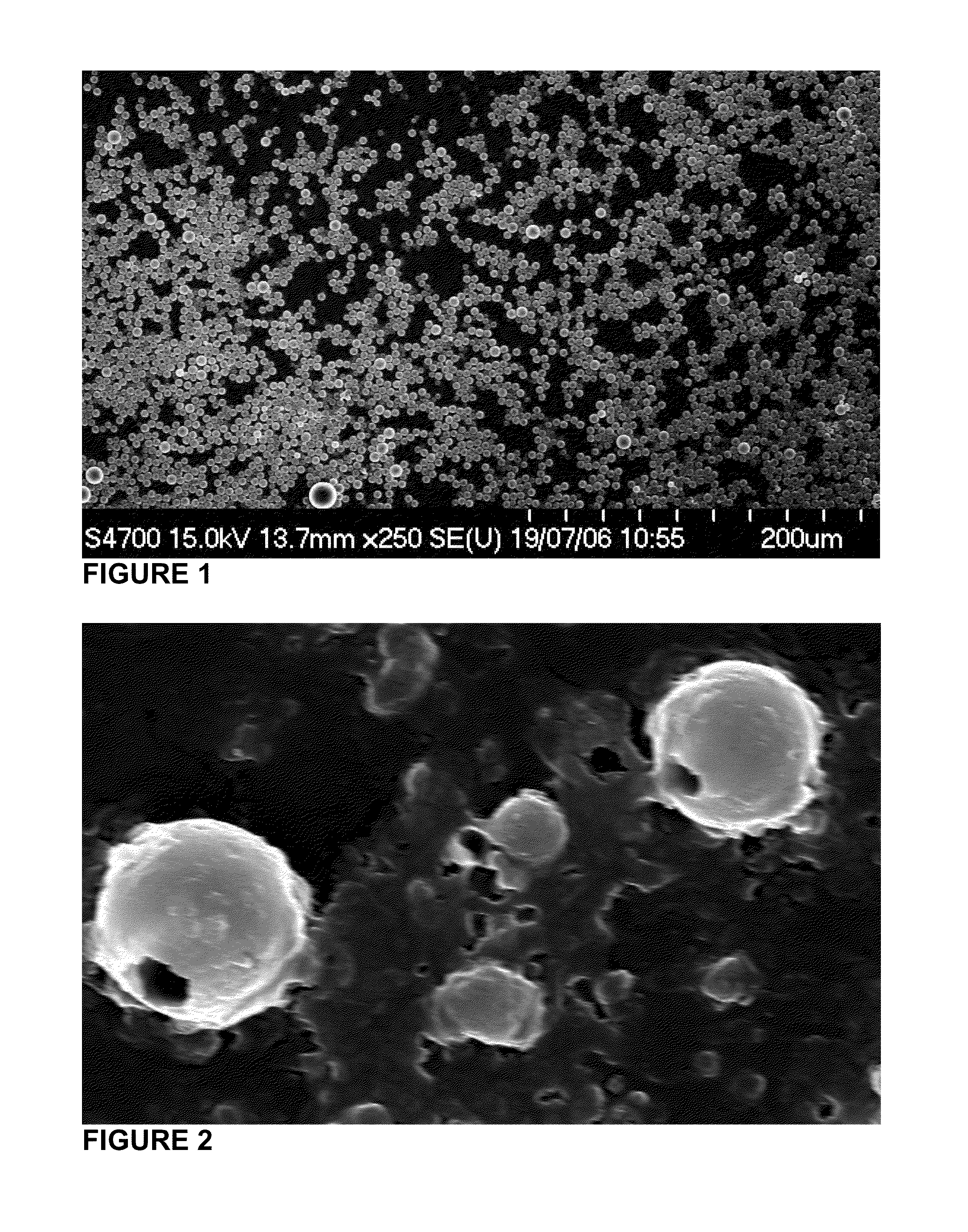 Hollow biodegradable nanospheres and nanoshells for delivery of therapeutic and/or imaging molecules