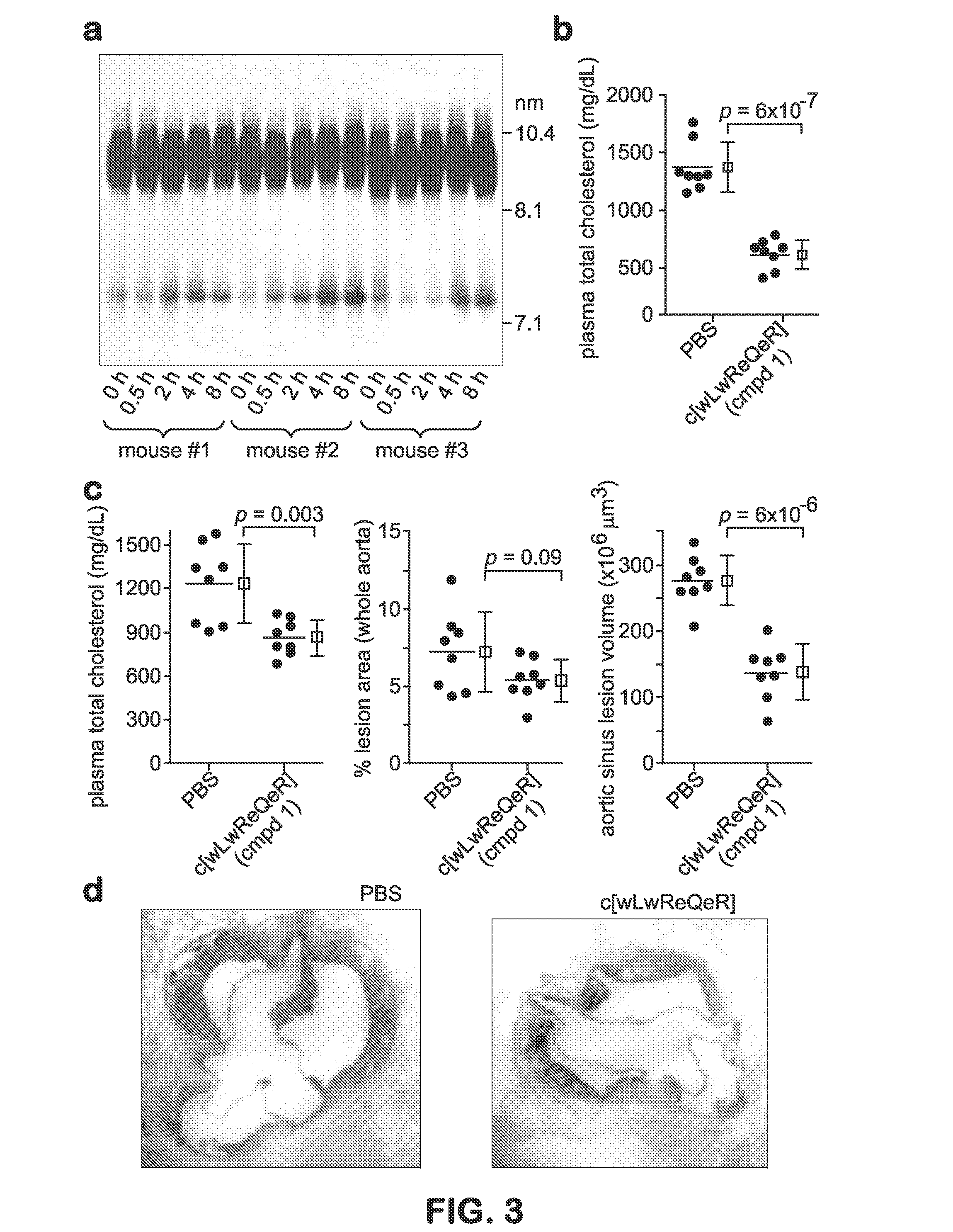 Uses Of Cyclic Peptides For Treating And Preventing Atherosclerosis
Uses of Cyclic Peptides for Treating and Preventing Atherosclerosis