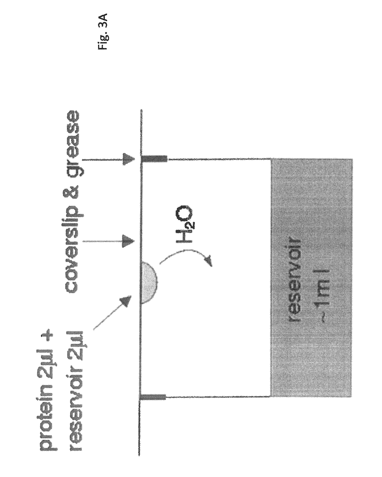 Method for preparing high quality crystals by directing ionized gas molecules through and/or over a saturated solution comprising a protein