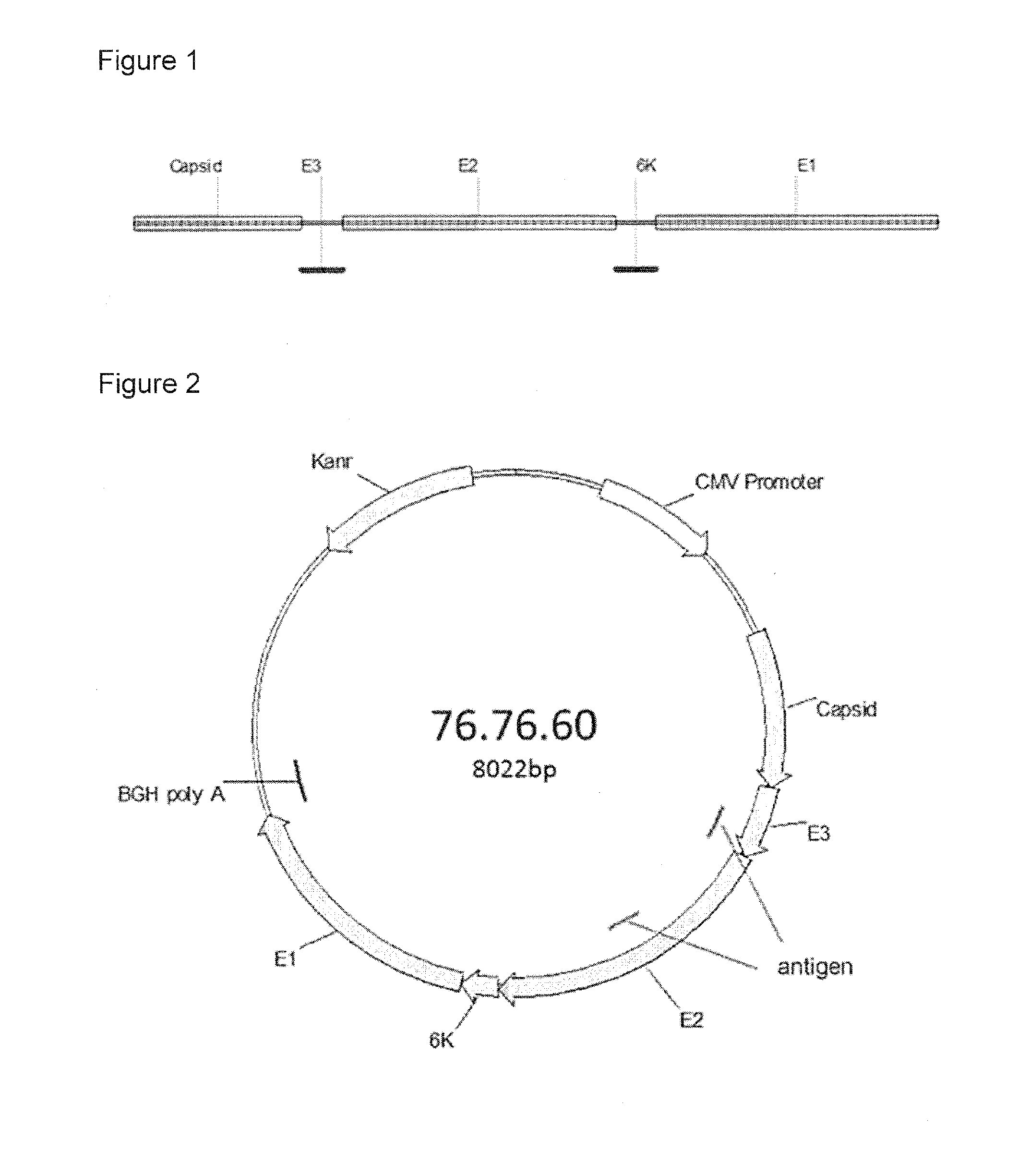Virus like particle comprising modified envelope protein e3