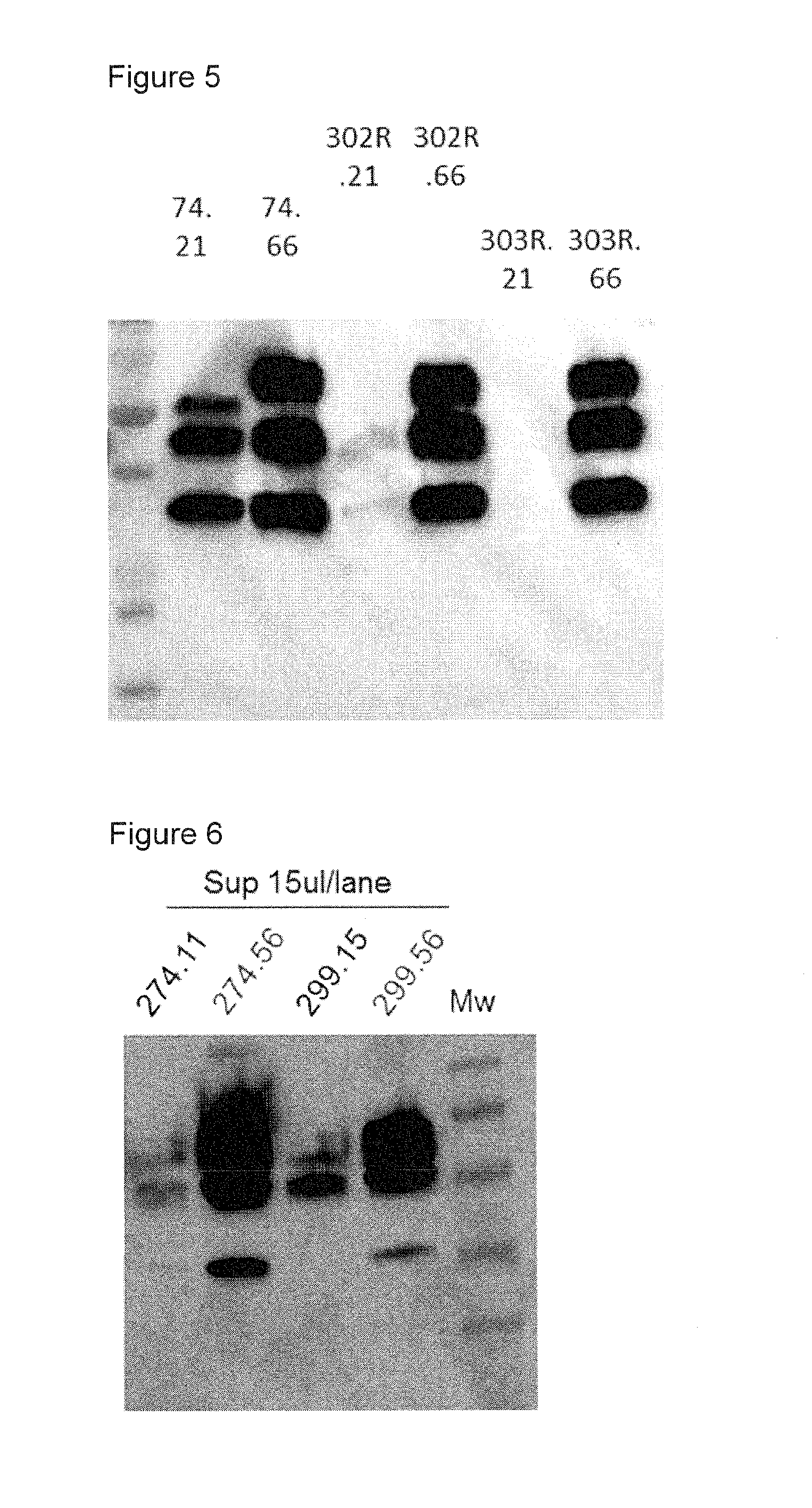 Virus like particle comprising modified envelope protein e3