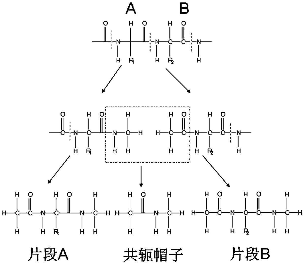 Parallel prediction methods for protein folding