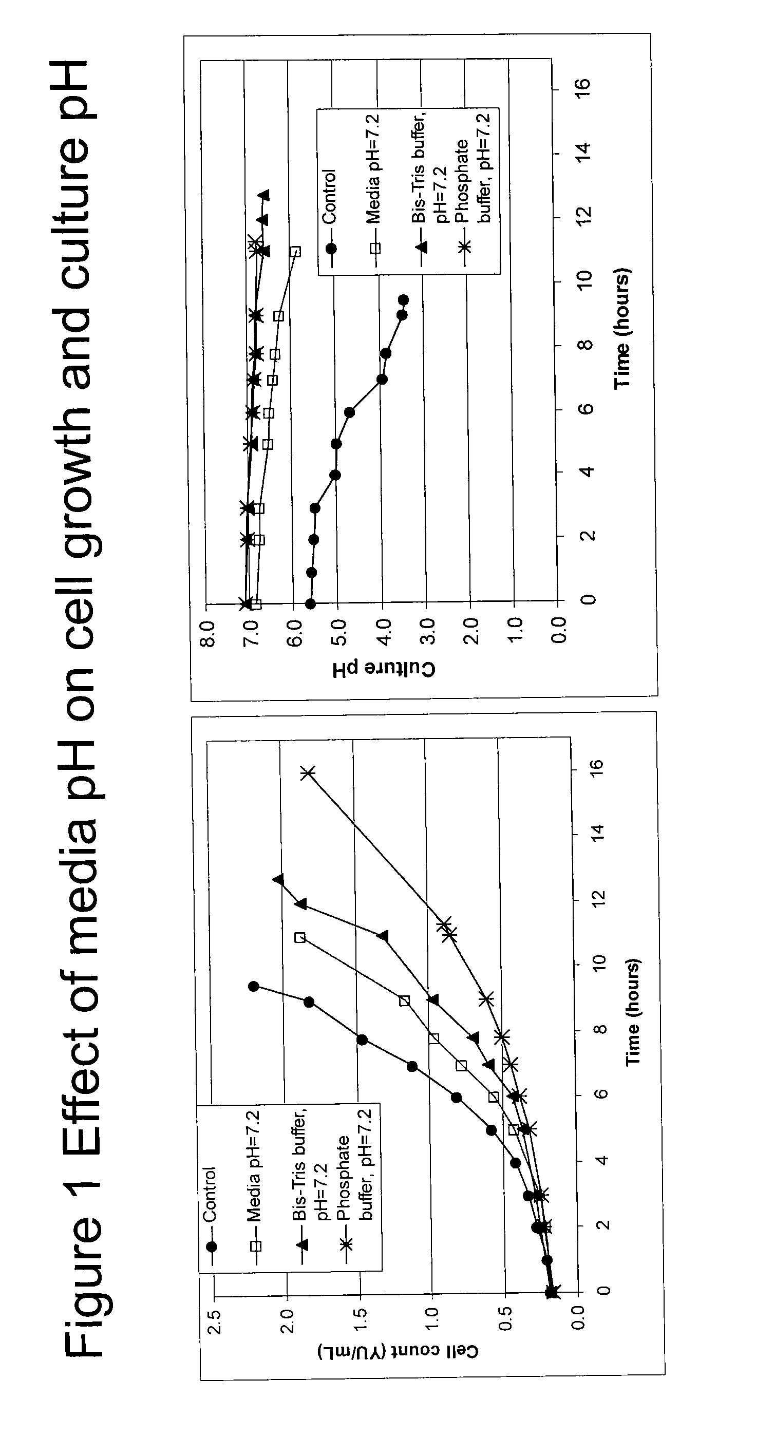 Methods for producing yeast-based vaccines