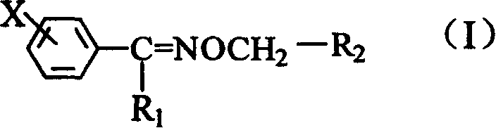 Purification method of non-fatty oxime ether pyrethrin compound