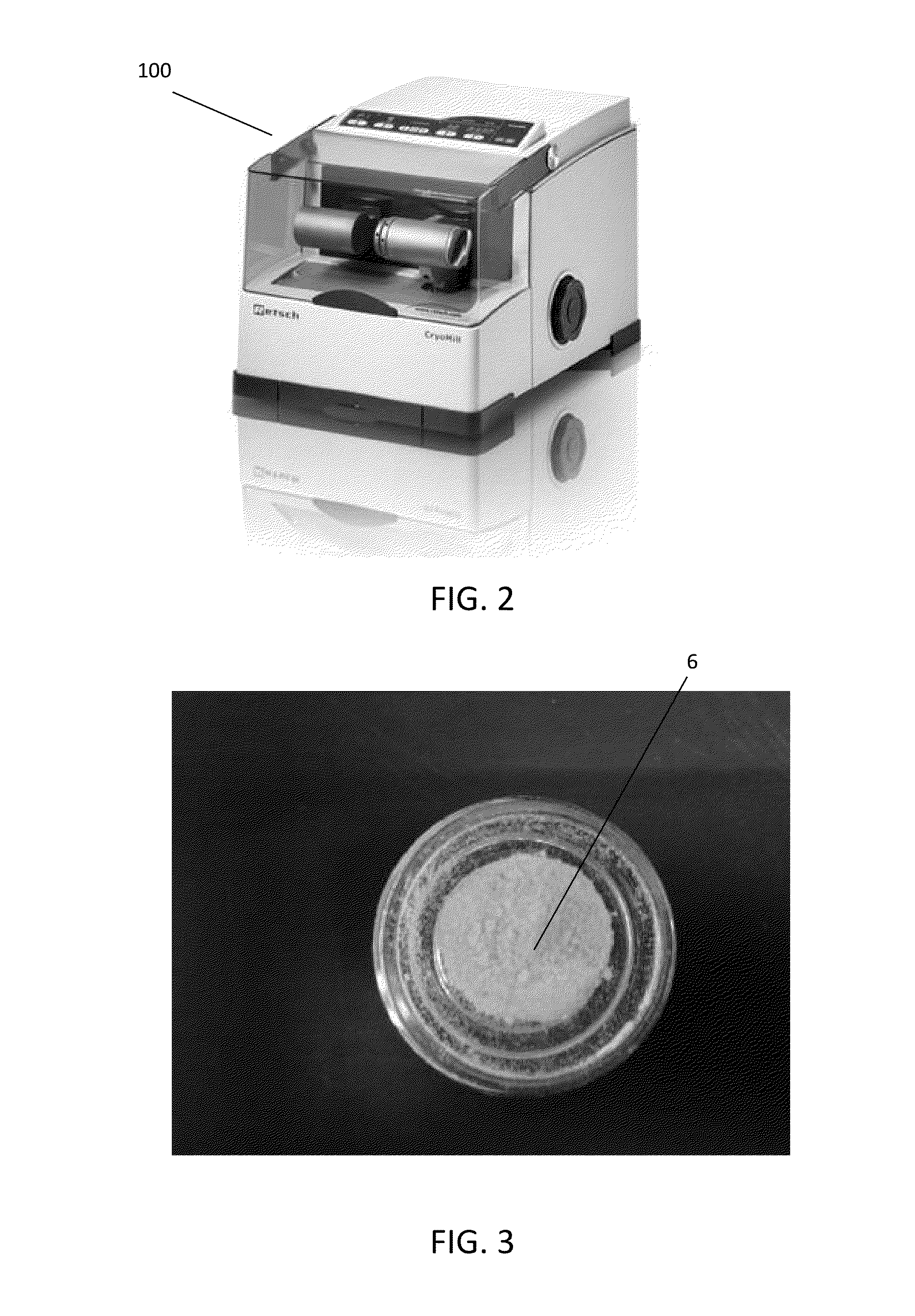 Spinal disk regenerative composition and method of manufacture and use