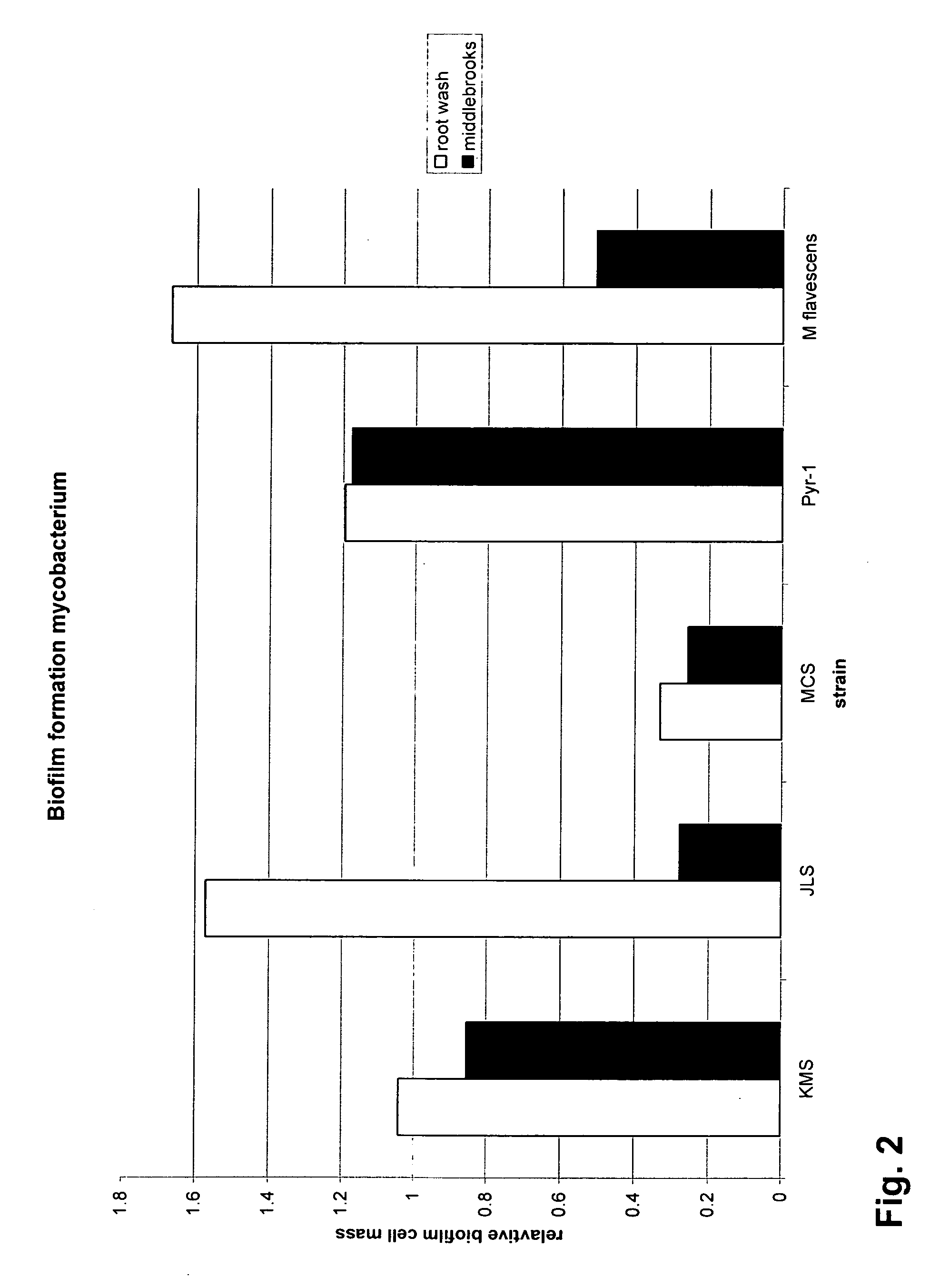 Mycobacteria compositions and methods of use in bioremediation