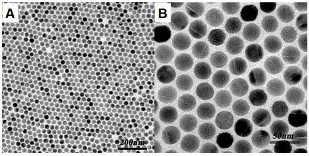 Sound-control nanoparticle-loaded berberine releasing system and preparation method and application thereof