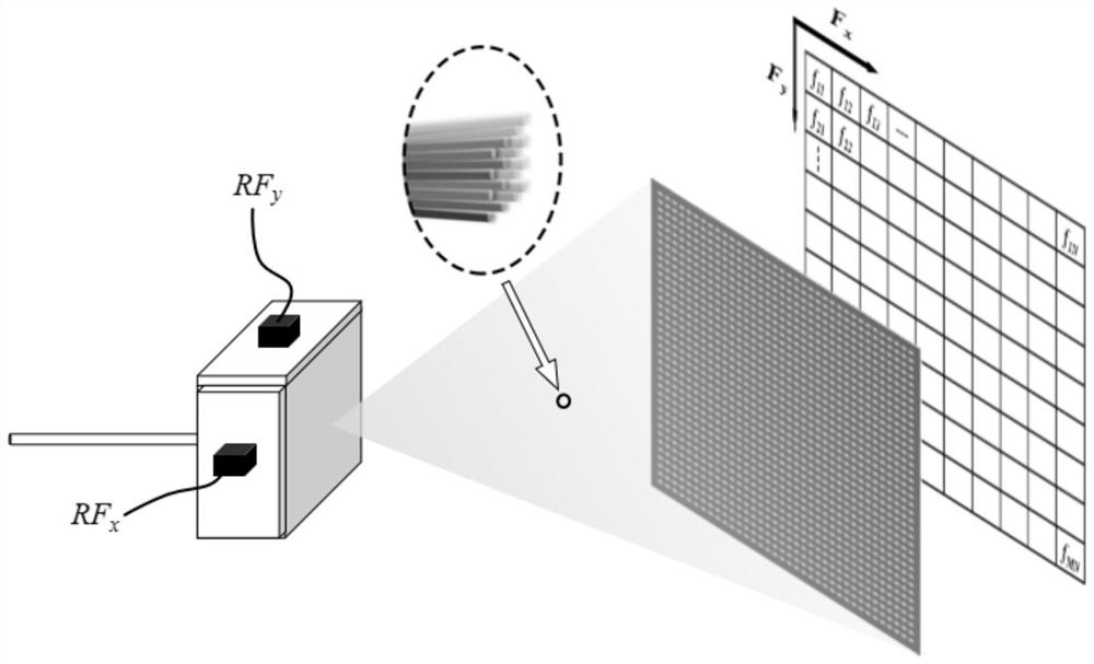 Multiphoton excitation imaging system and imaging method based on two-dimensional frequency space coding