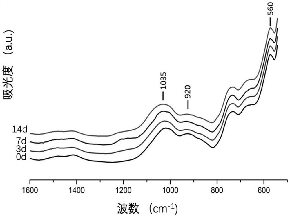 Root canal filling material containing bioactive glass and preparation method thereof