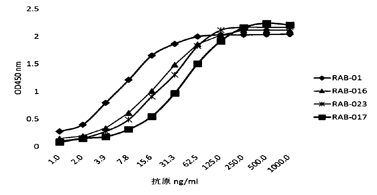 Monoclonall antibody capable of recognizing high-risk HPV E7 protein, and applications thereof