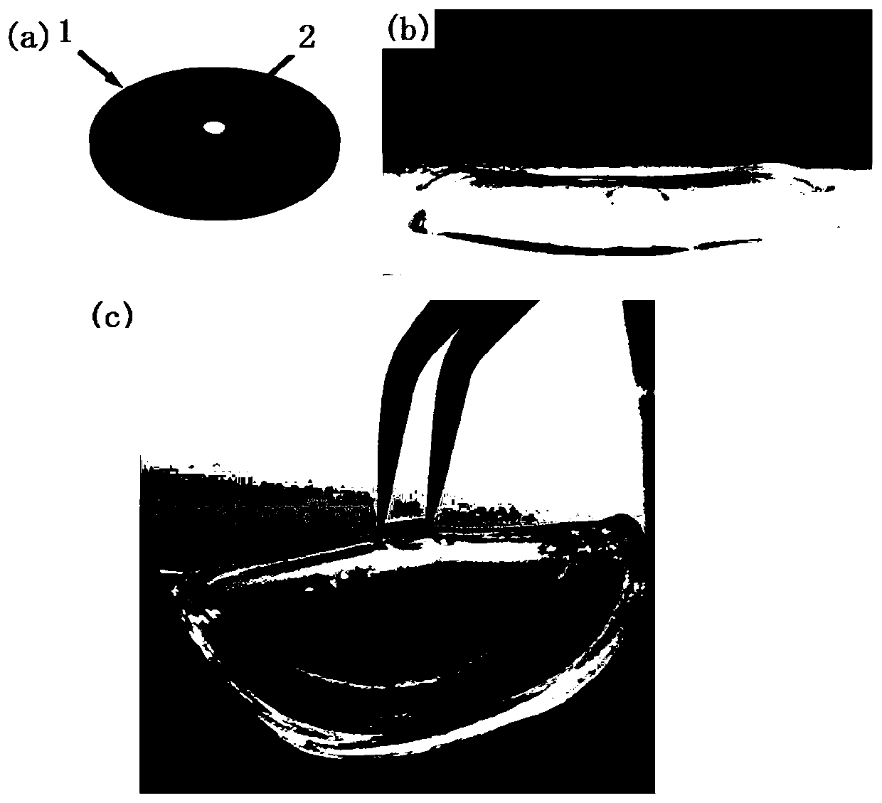 Hydrogel composite device for ionizing radiation dose measurement and its preparation method