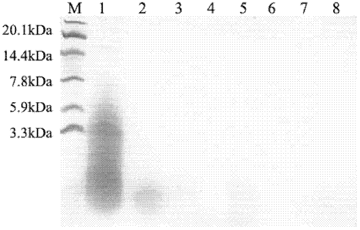 Blood pressure-lowering polypeptide derived from pig blood and use thereof