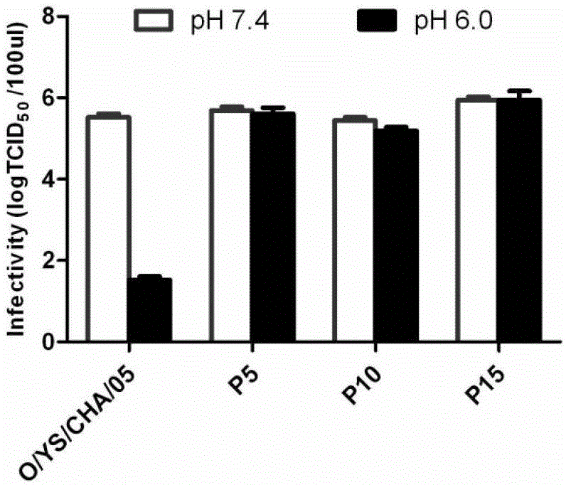 O-type foot-and-mouth disease virus acid-resistant mutant strain, its capsid protein and its encoding gene and application