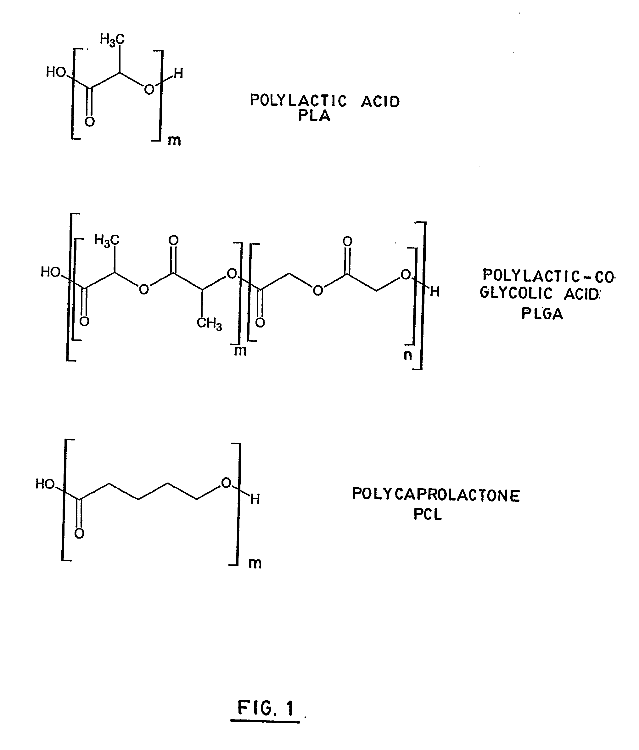 Functionalized polymers and their biomedical and pharmaceutical uses