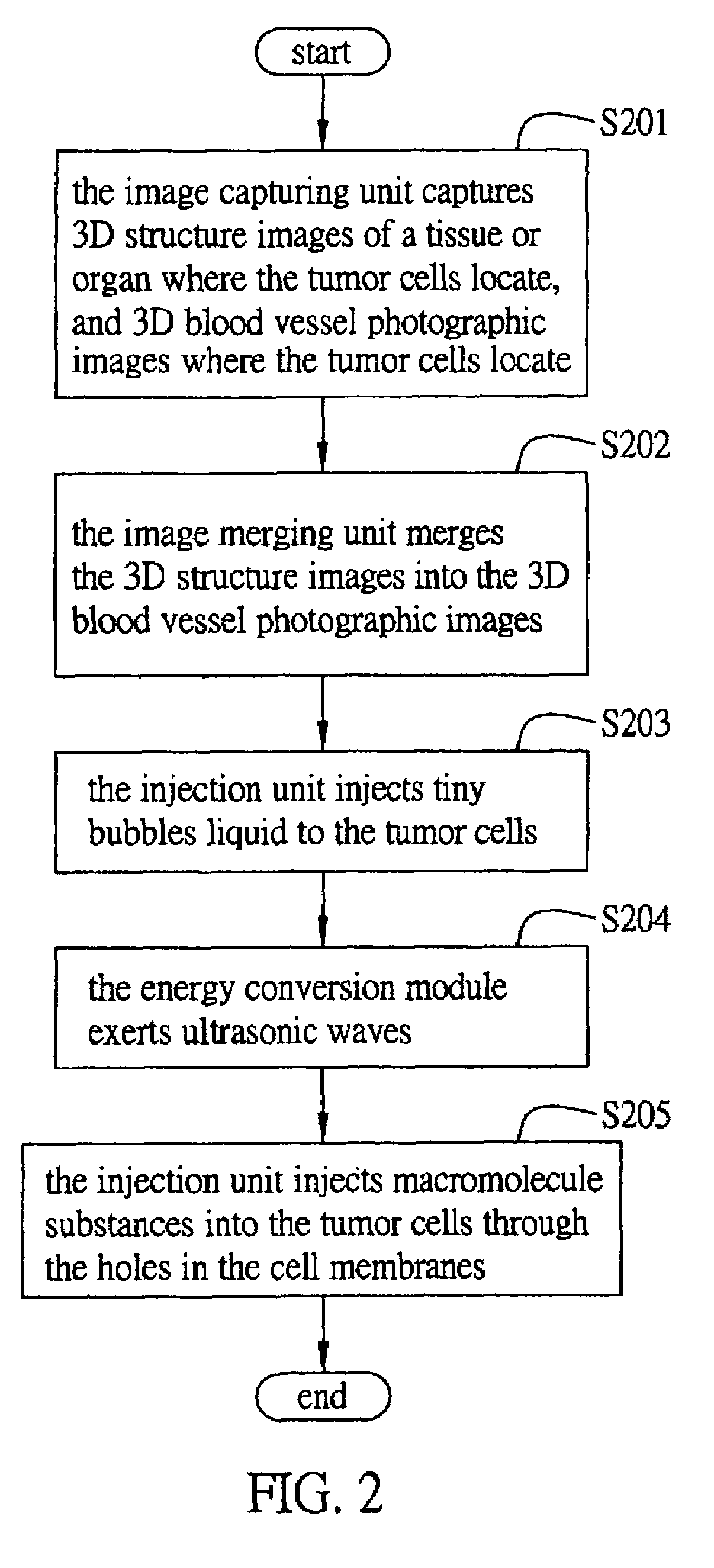 Method and system for leading macromolecule substances into living target cells