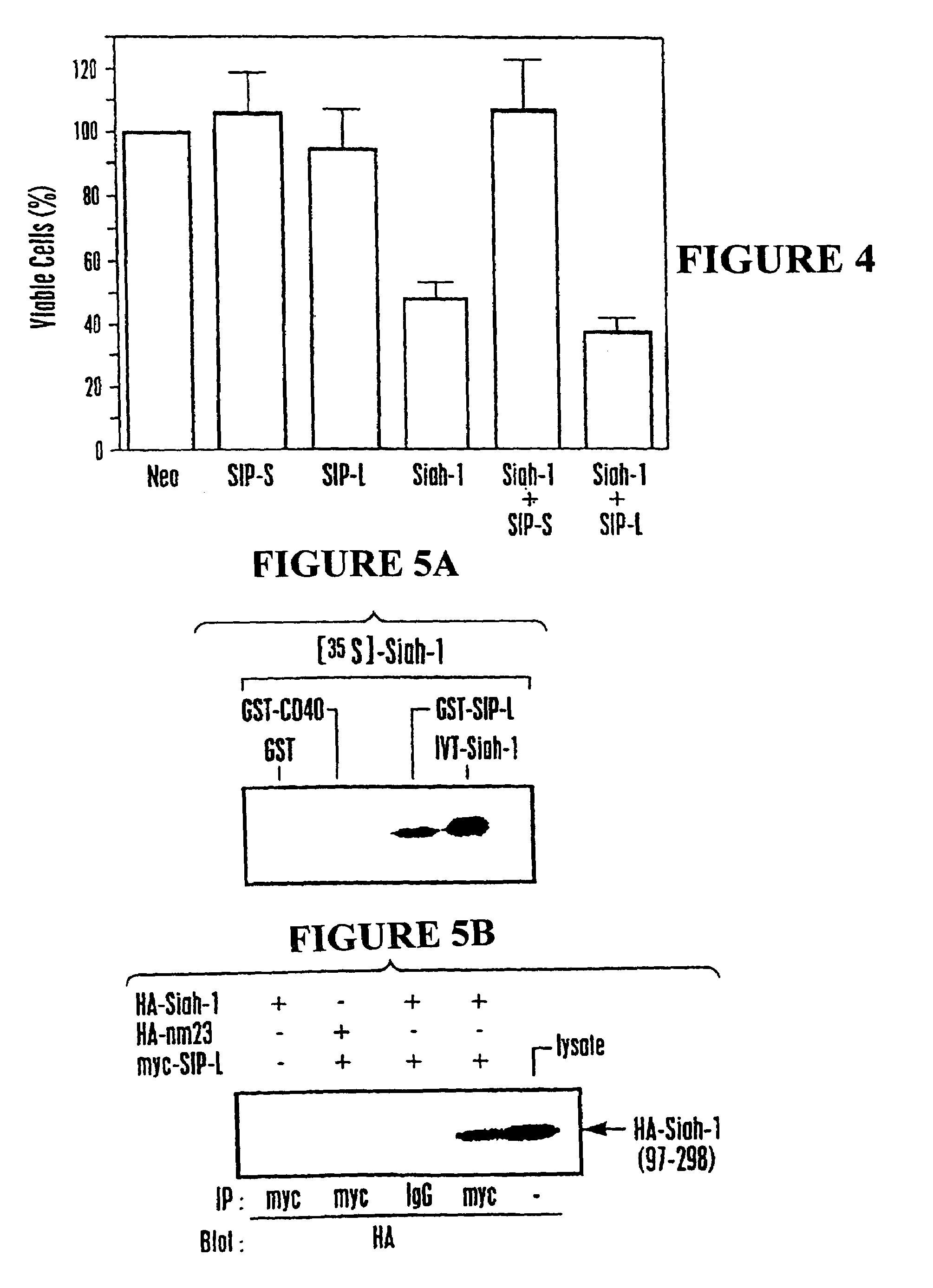 Nucleic acid encoding proteins involved in protein degradation, products and methods related thereof