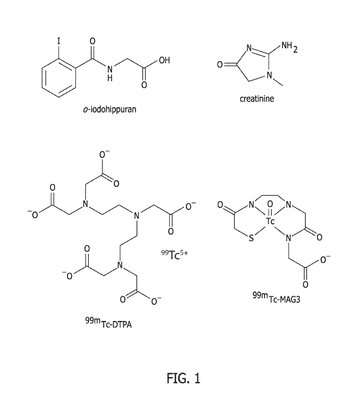 Methods for renal function determination