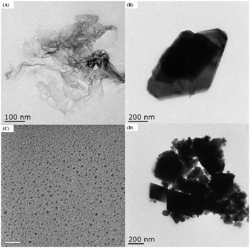 Preparation method and application of CQDs/CdIn2S4/N-rGO multi-dimensional photocatalyst