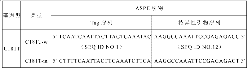 apoB (apolipoprotein B) gene SNP (Single Nucleotide Polymorphism) detection specific primer and liquid-phase chip