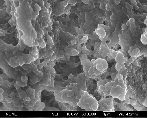 Nano bone biomimetic material containing tussah silk fibroin, and preparation method thereof