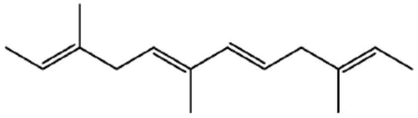 Polymeric surfactant compounds