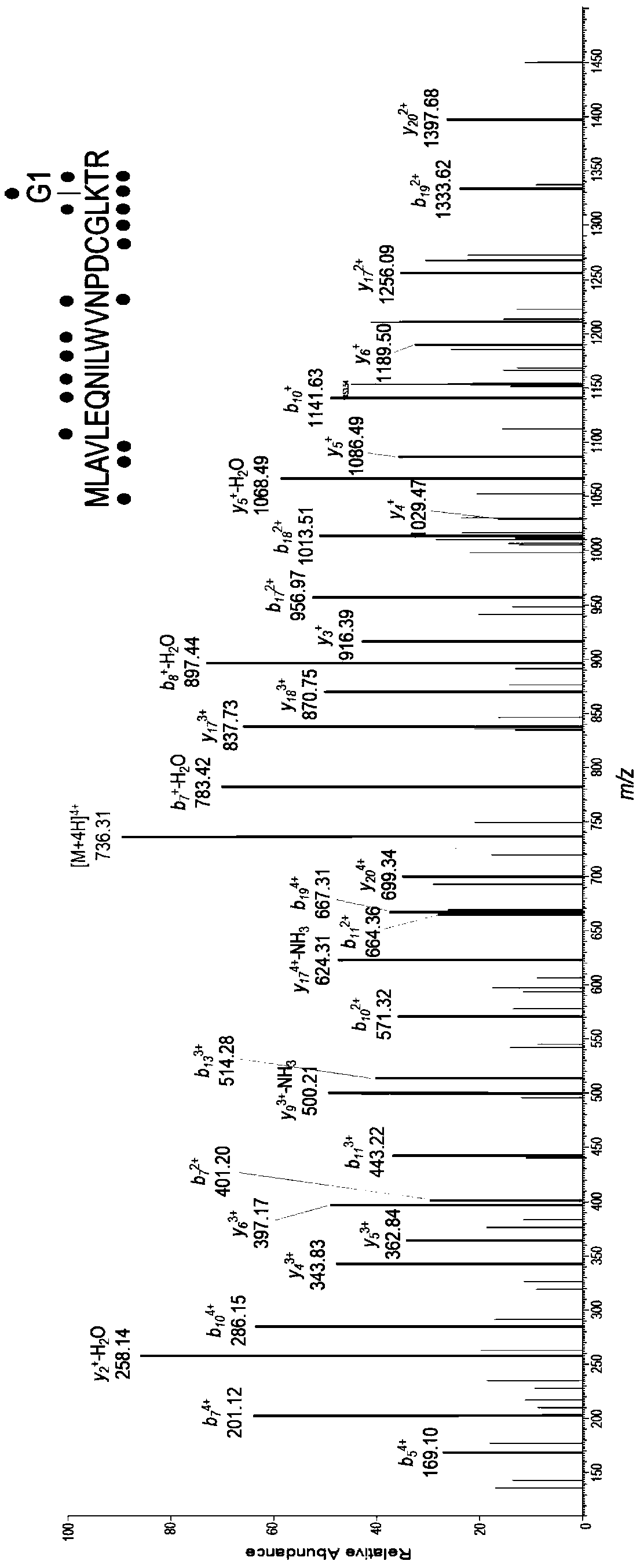Molecular probe of higher plant non-cobalt-dependent methionine synthase and application of molecular probe