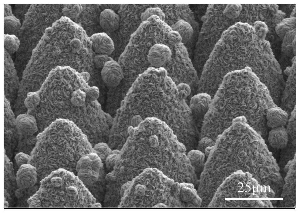 A stable superhydrophobic metal surface with a three-dimensional three-level micro-nano structure and its preparation method