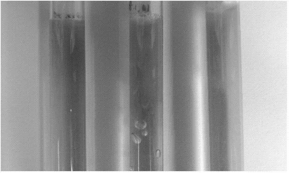 Aerobic denitrifying strain and its application