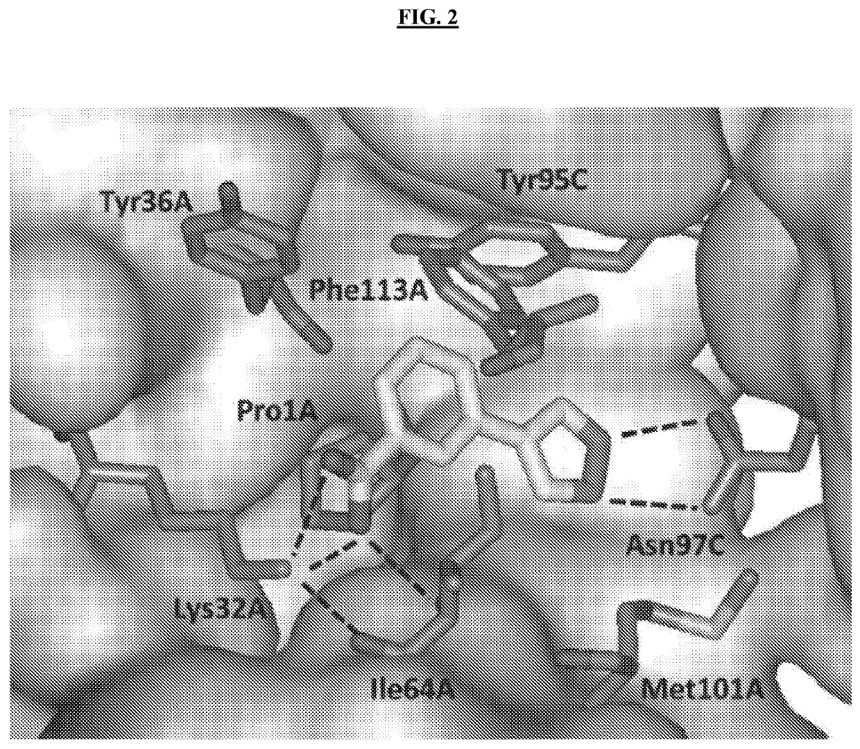 Pyrazole-Containing Macrophage Migration Inhibitory Factor Inhibitors