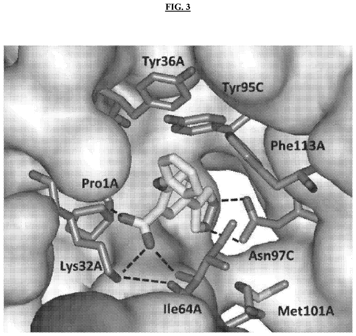 Pyrazole-Containing Macrophage Migration Inhibitory Factor Inhibitors