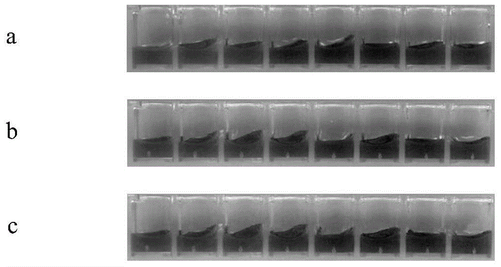 Fruit blotch immune colloidal gold detection test strip, and monoclonal antibody and hybridoma cell strain thereof