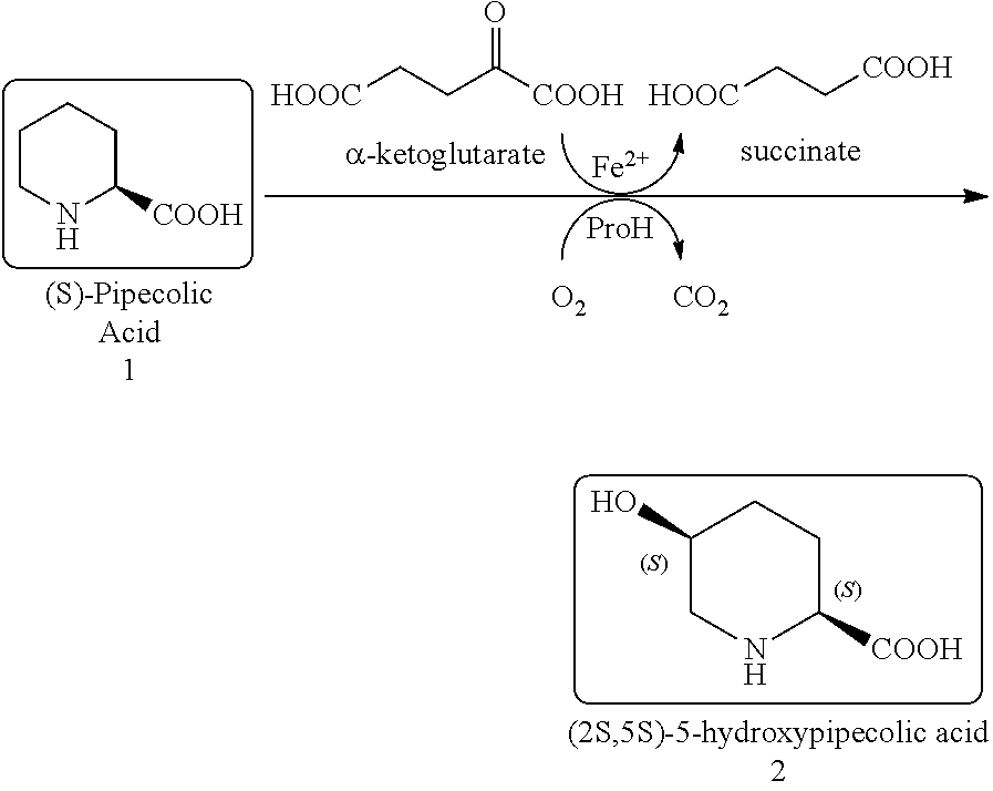 Biocatalysts and methods for hydroxylation of chemical compounds