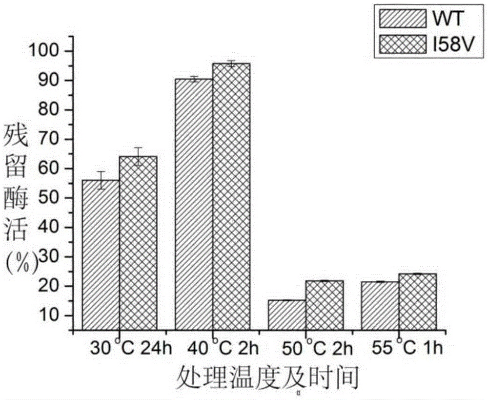 An Alkaline Pectinase Mutant with Improved Secretion Performance