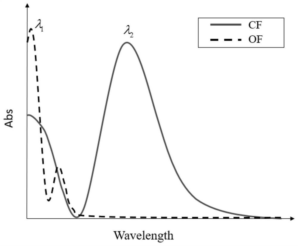 Method and device for reading and writing fluorescent disc information based on nanolithography