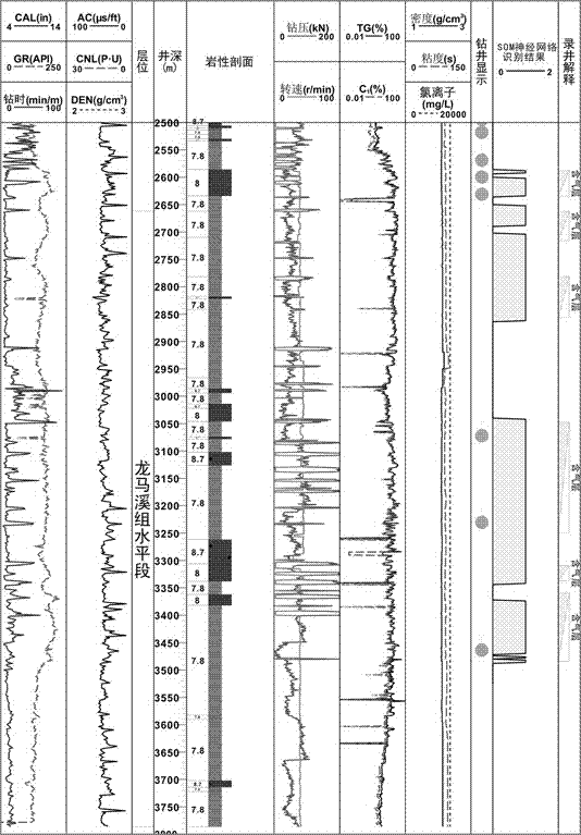 Shale gas reservoir identification method based on self-organized competitive neural network