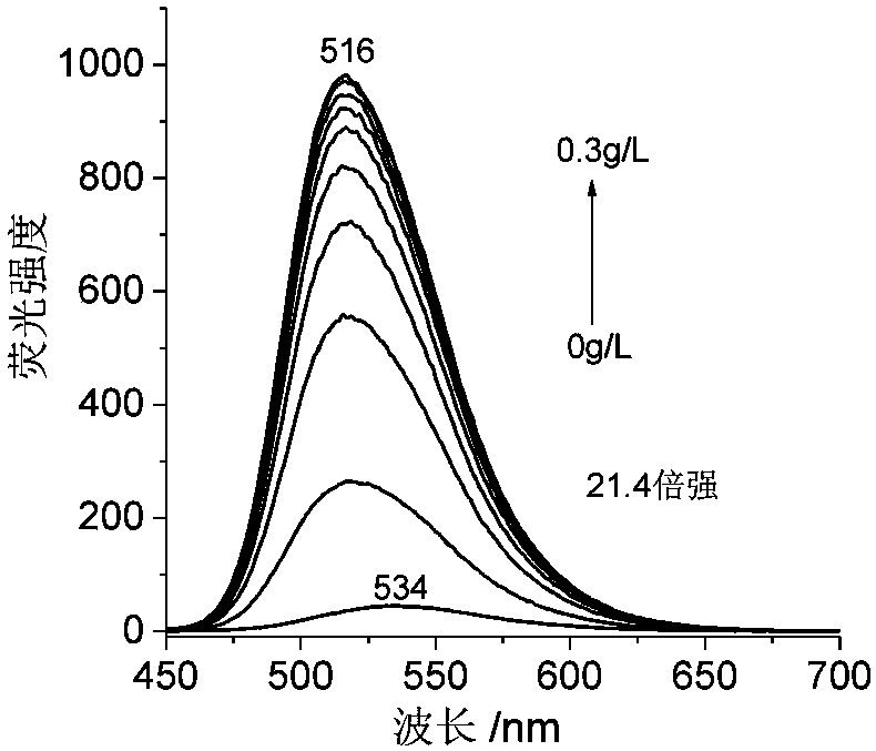 Nucleic acid fluorescence probe for nuclear staining and preparation method of nucleic acid fluorescence probe
