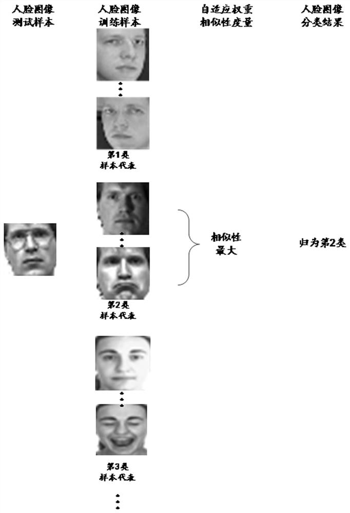 An inductive non-negative projection semi-supervised data classification method and system