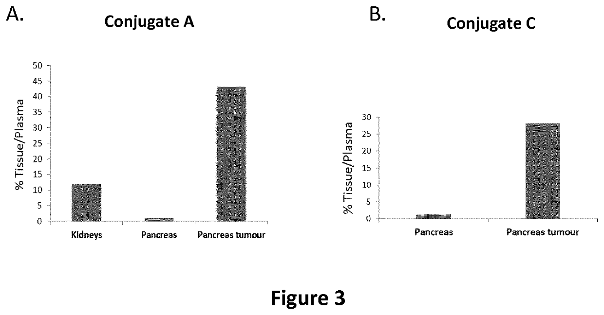 Compositions and methods for cancer imaging and radiotherapy