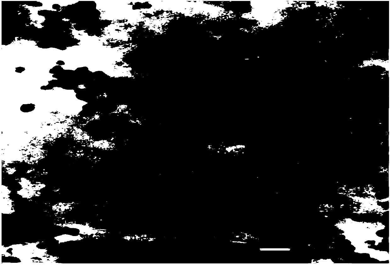 Preparation method of pure indissolvable drug nanoparticles (crystals) and application thereof