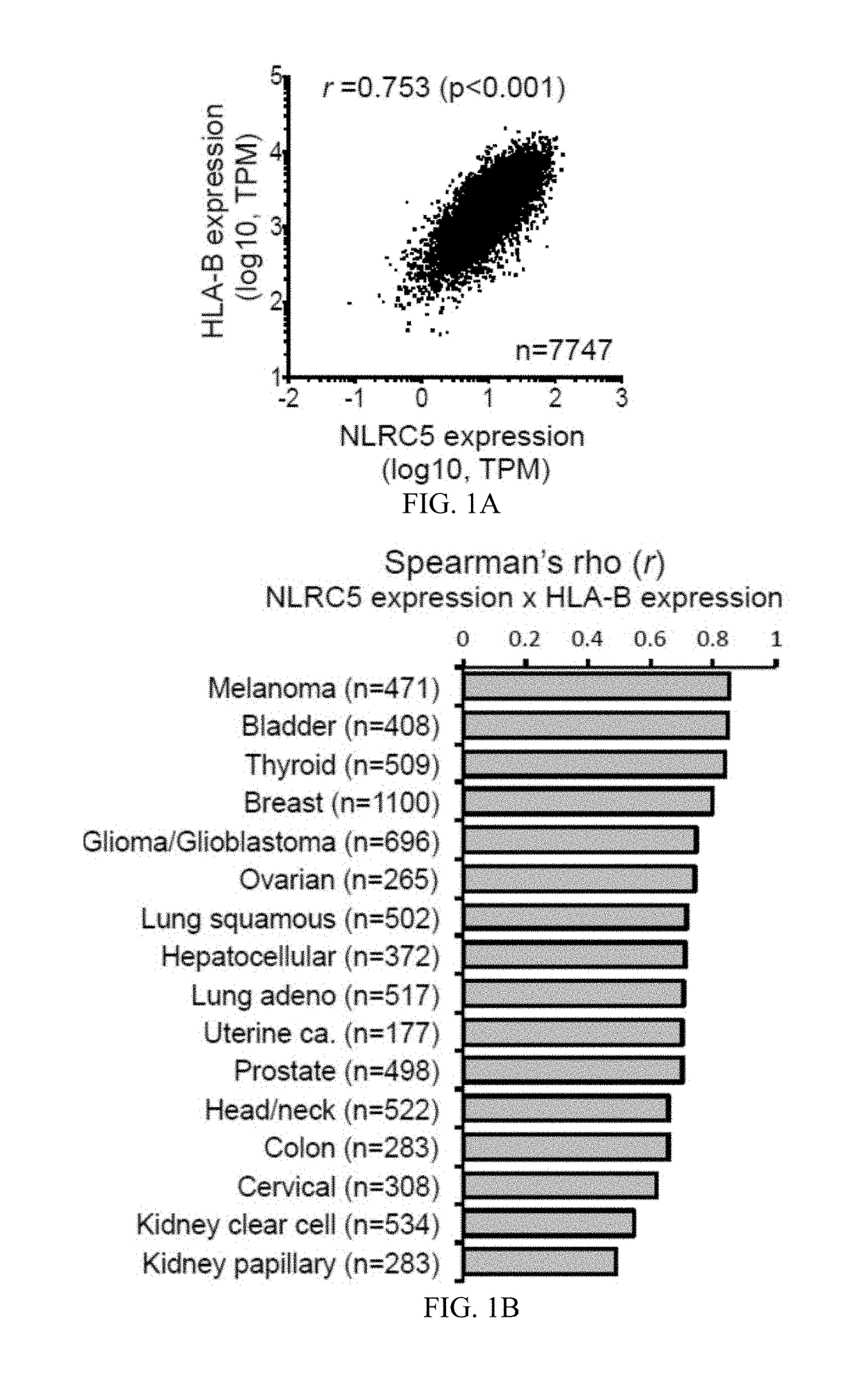 Nlrc5 as a biomarker for cancer patients and a target for cancer therapy