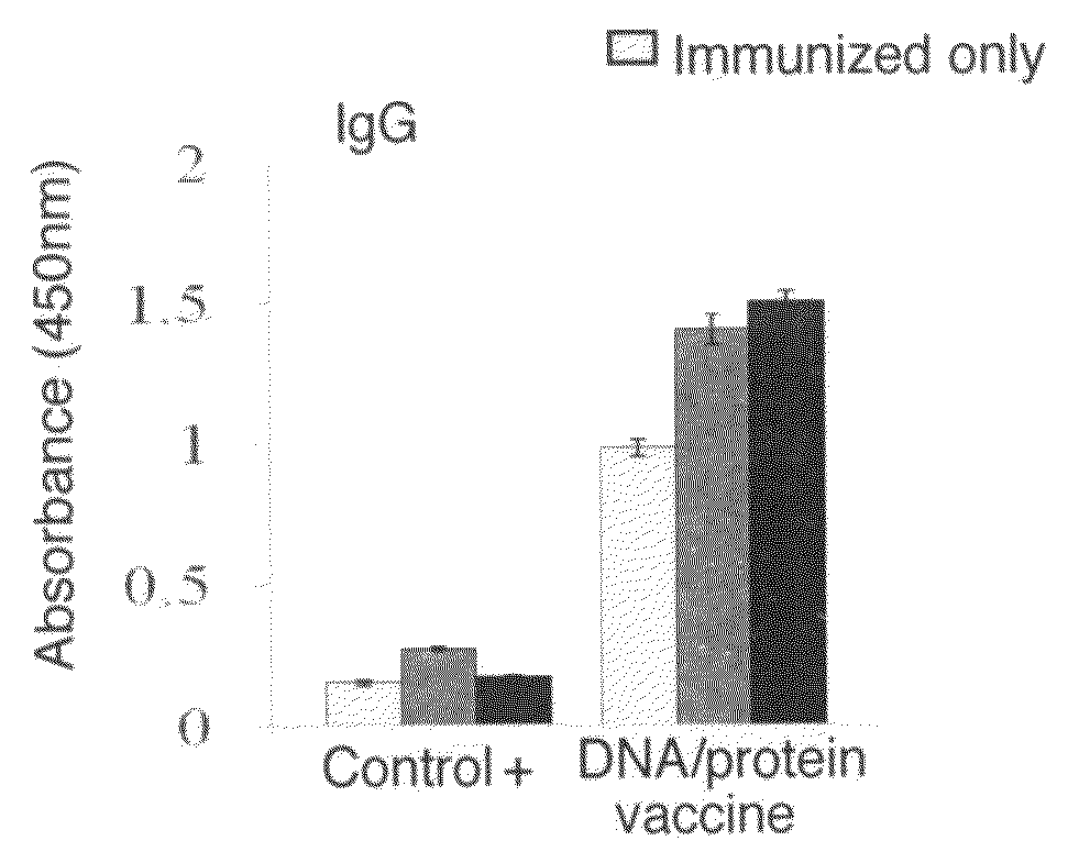 Diagnosis and treatment of <i>Trypanosoma cruzi </i>infection and Chagas disease