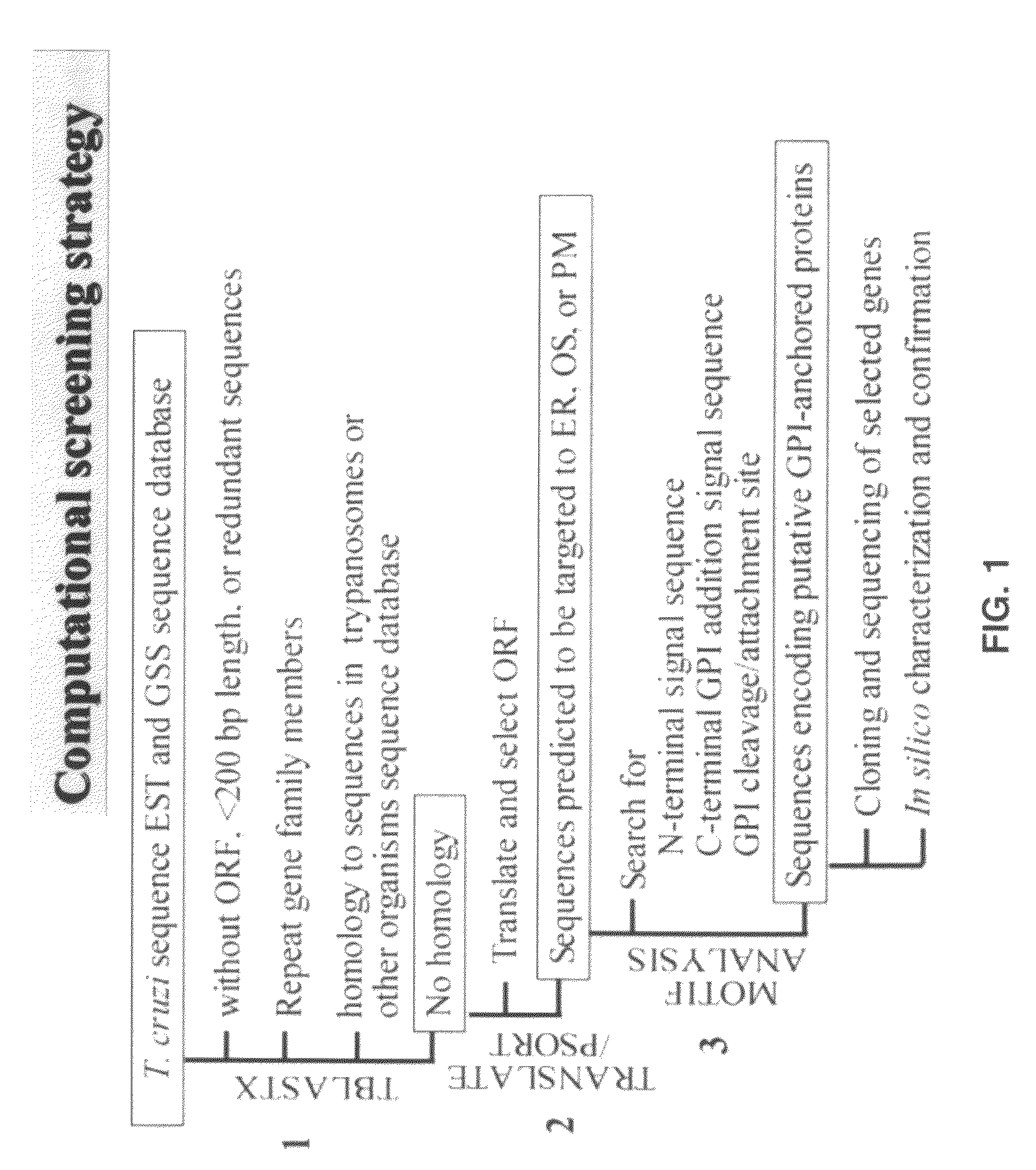 Diagnosis and treatment of <i>Trypanosoma cruzi </i>infection and Chagas disease