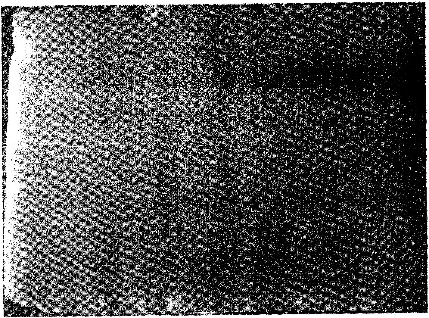 Release agent composition for polyurethane foam molding